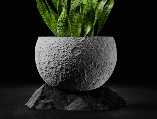 Moon Flower Pot with Base
