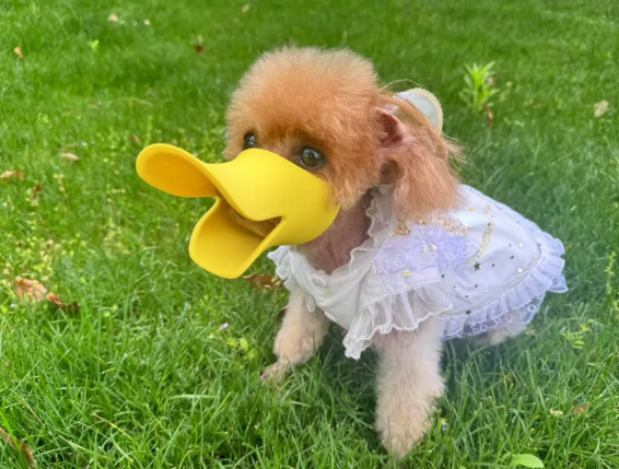 anti-biting mouthpiece