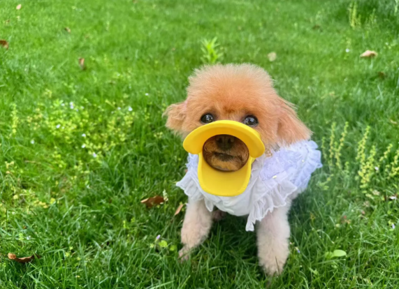 anti-biting mouthpiece