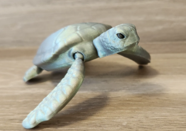 Movable turtle