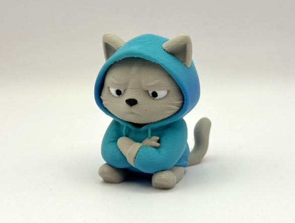 Cool cat in a hoodie