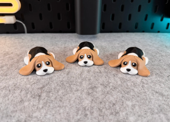cute dog