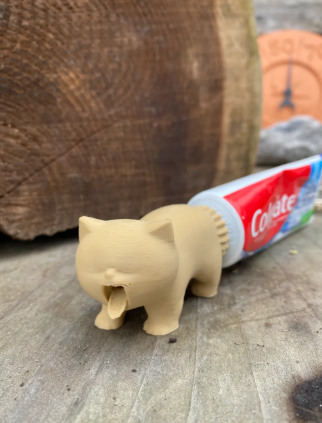 Vomiting toothpaste cat
