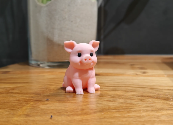 Sweet little pig