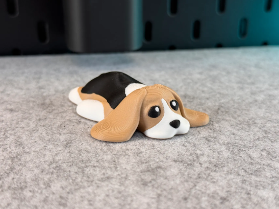 cute dog