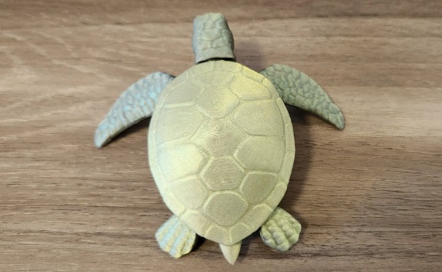 Movable turtle