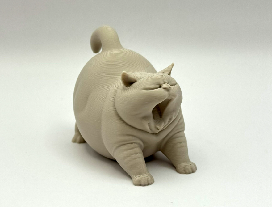 Yawning fat cat