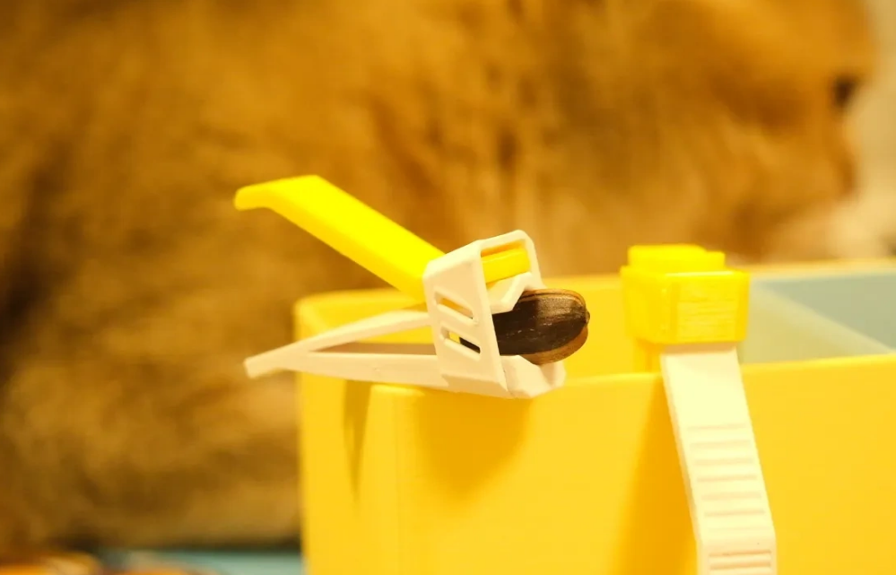 Melon seed shelling tool