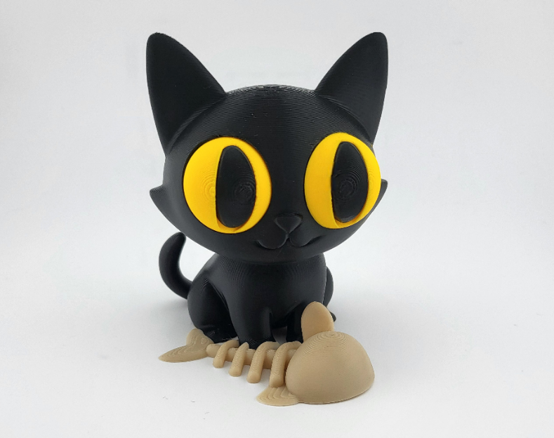 Cute little black cat and fish bone