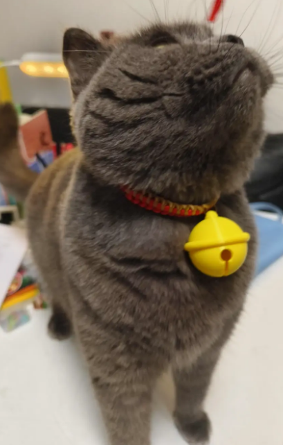 Doraemon's Bell