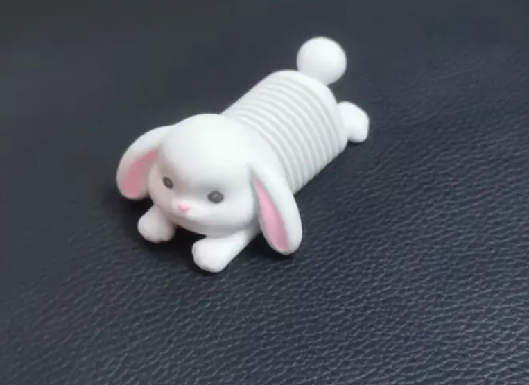 Cute Spring Rabbit