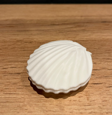 Perfect shell gift box