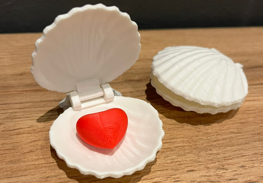 Perfect shell gift box