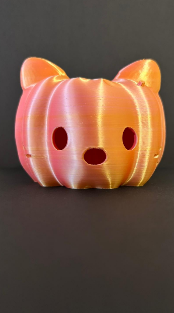 Hello pumpkitty