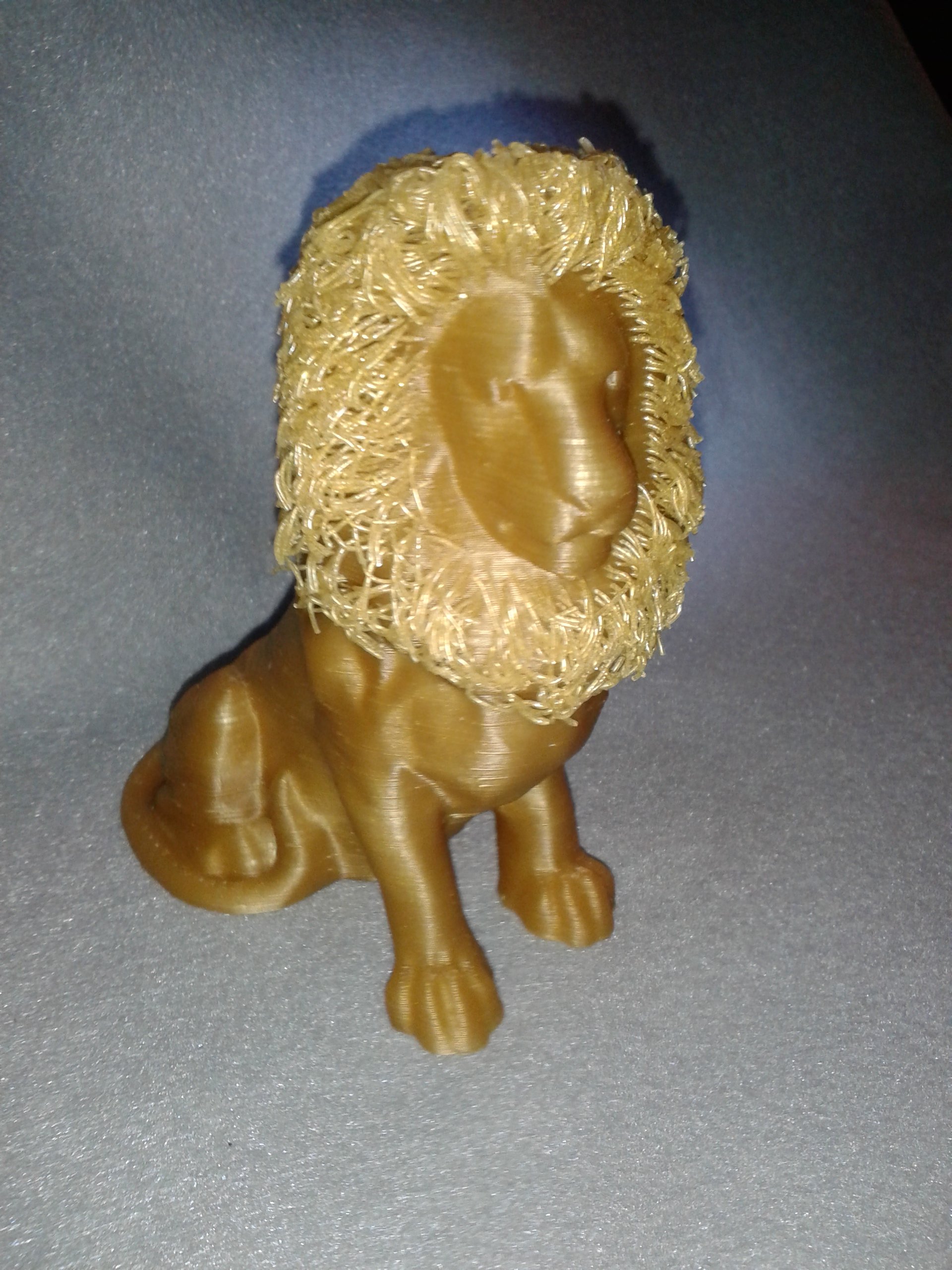 Hairy Lion