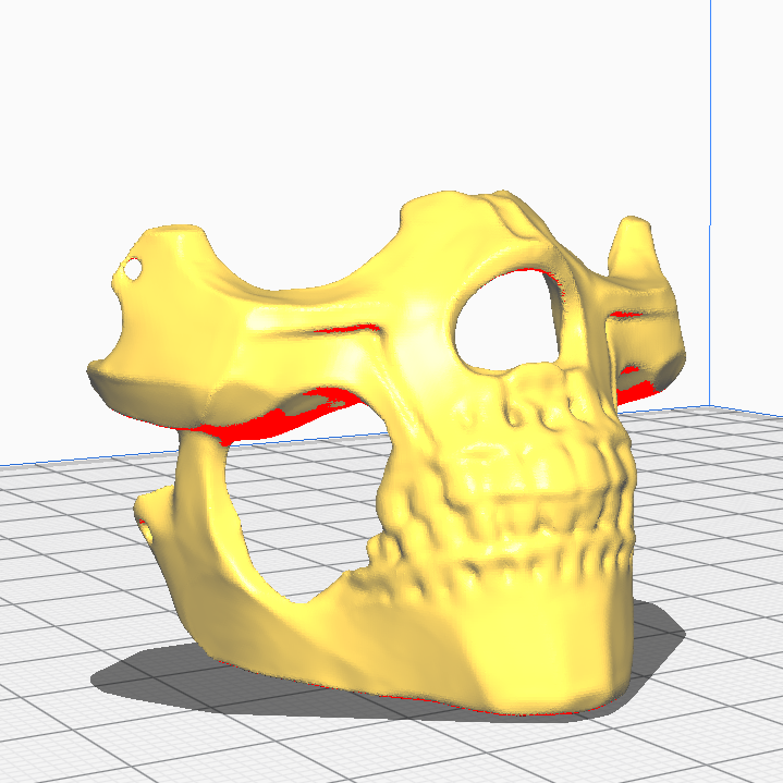 Half mask skull remix