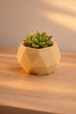 Low-Poly Small Flower Pot