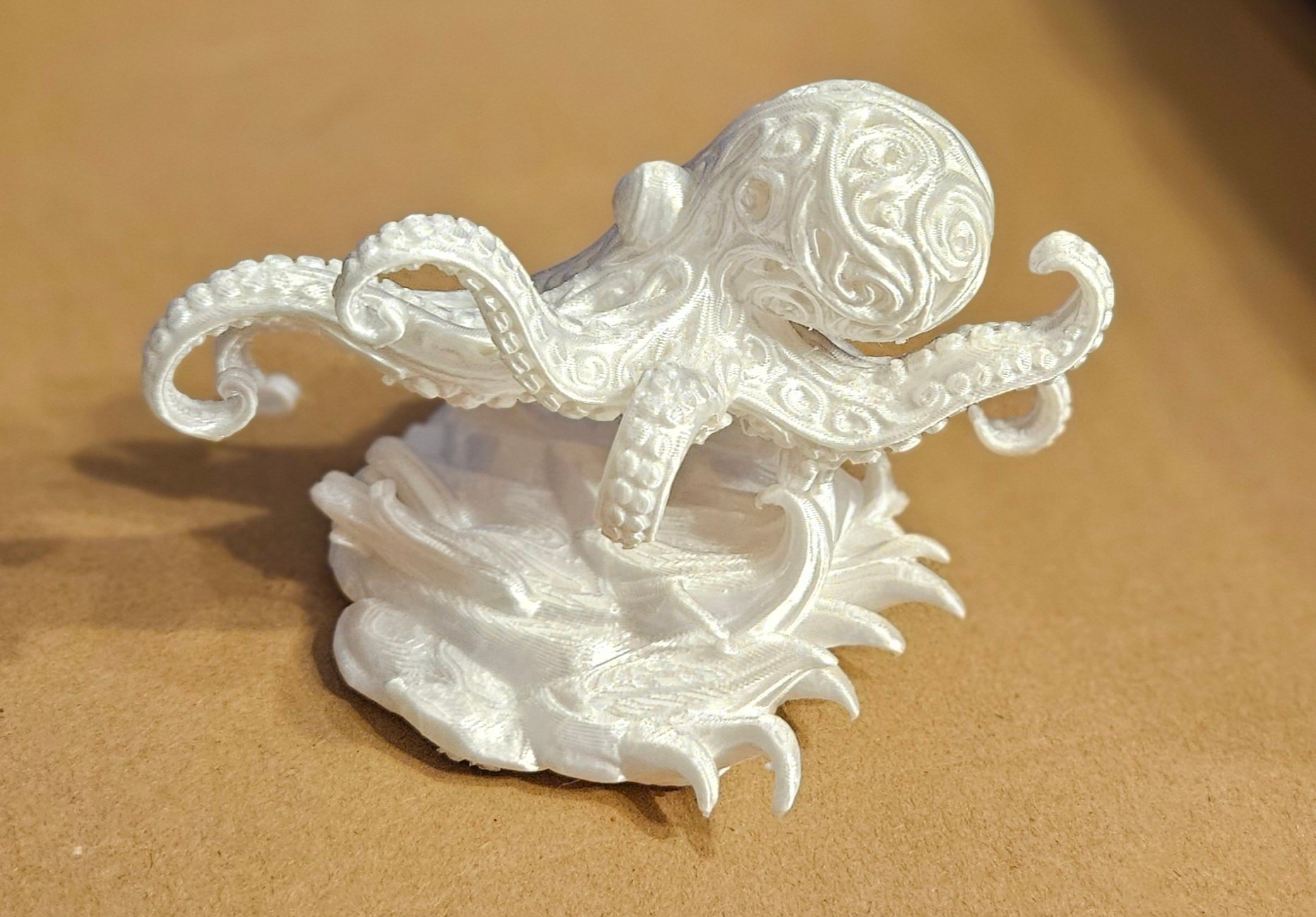 Ornate Octopus