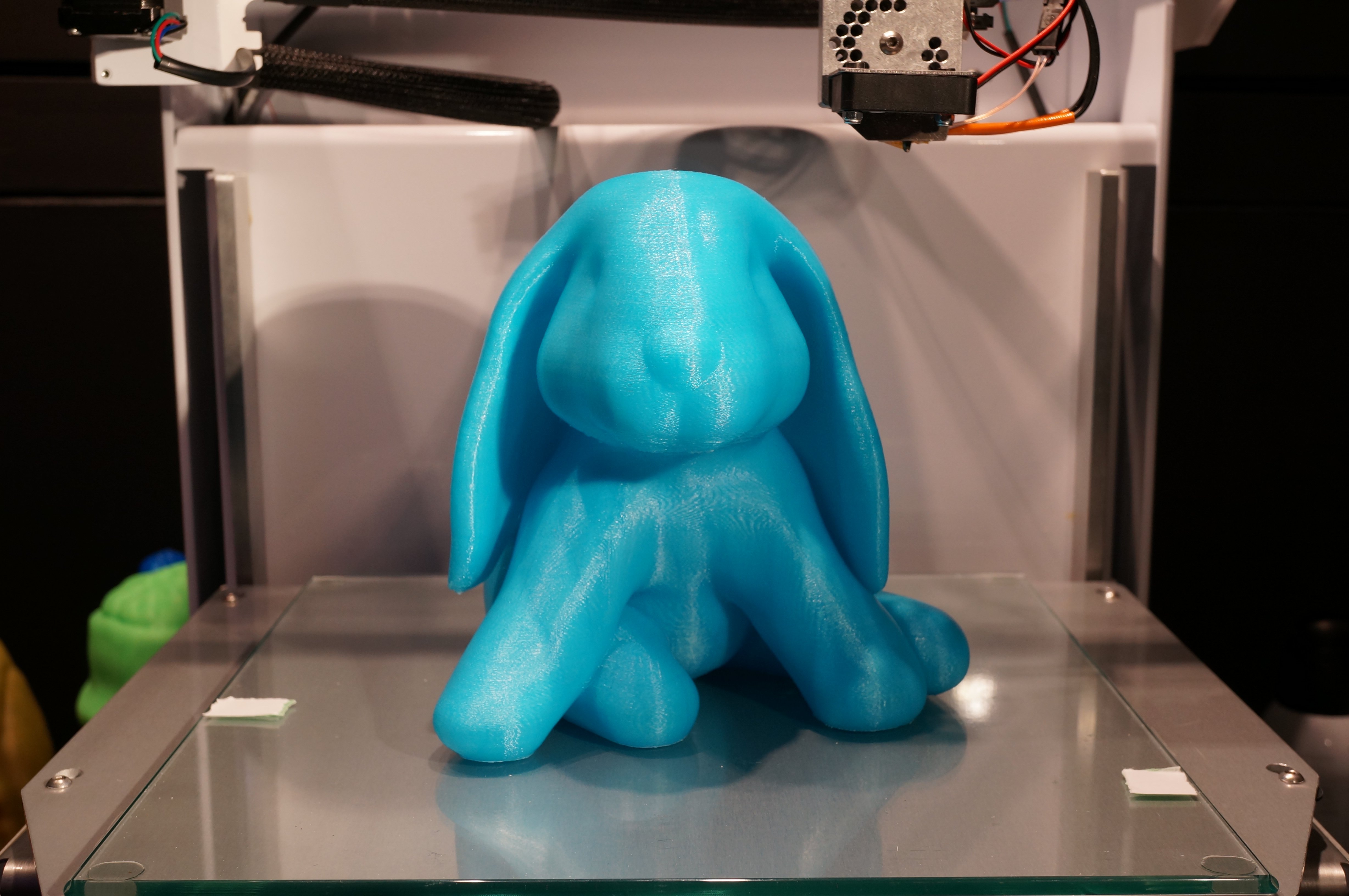 Ducky The Lop Eared Bunny