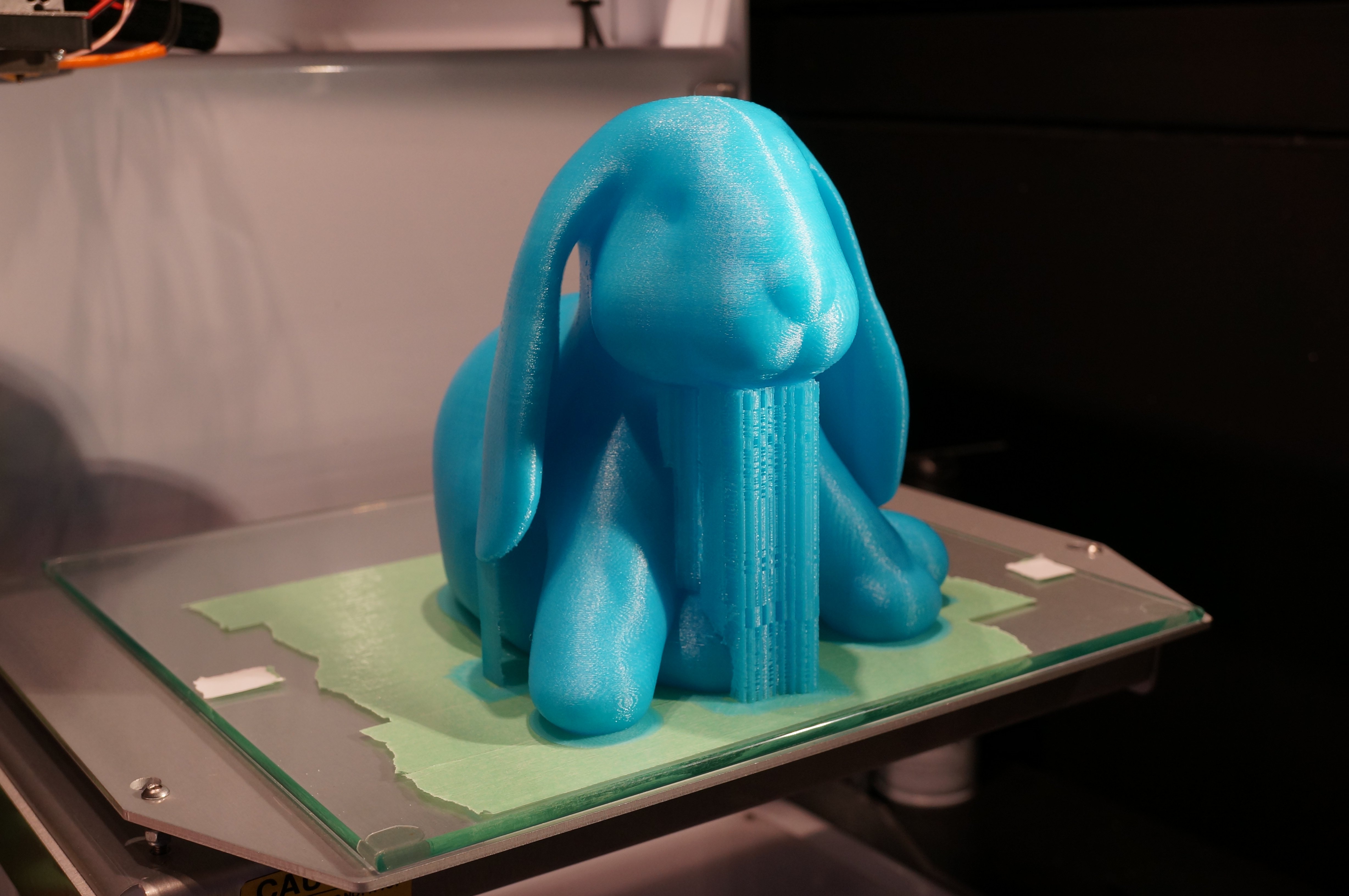 Ducky The Lop Eared Bunny