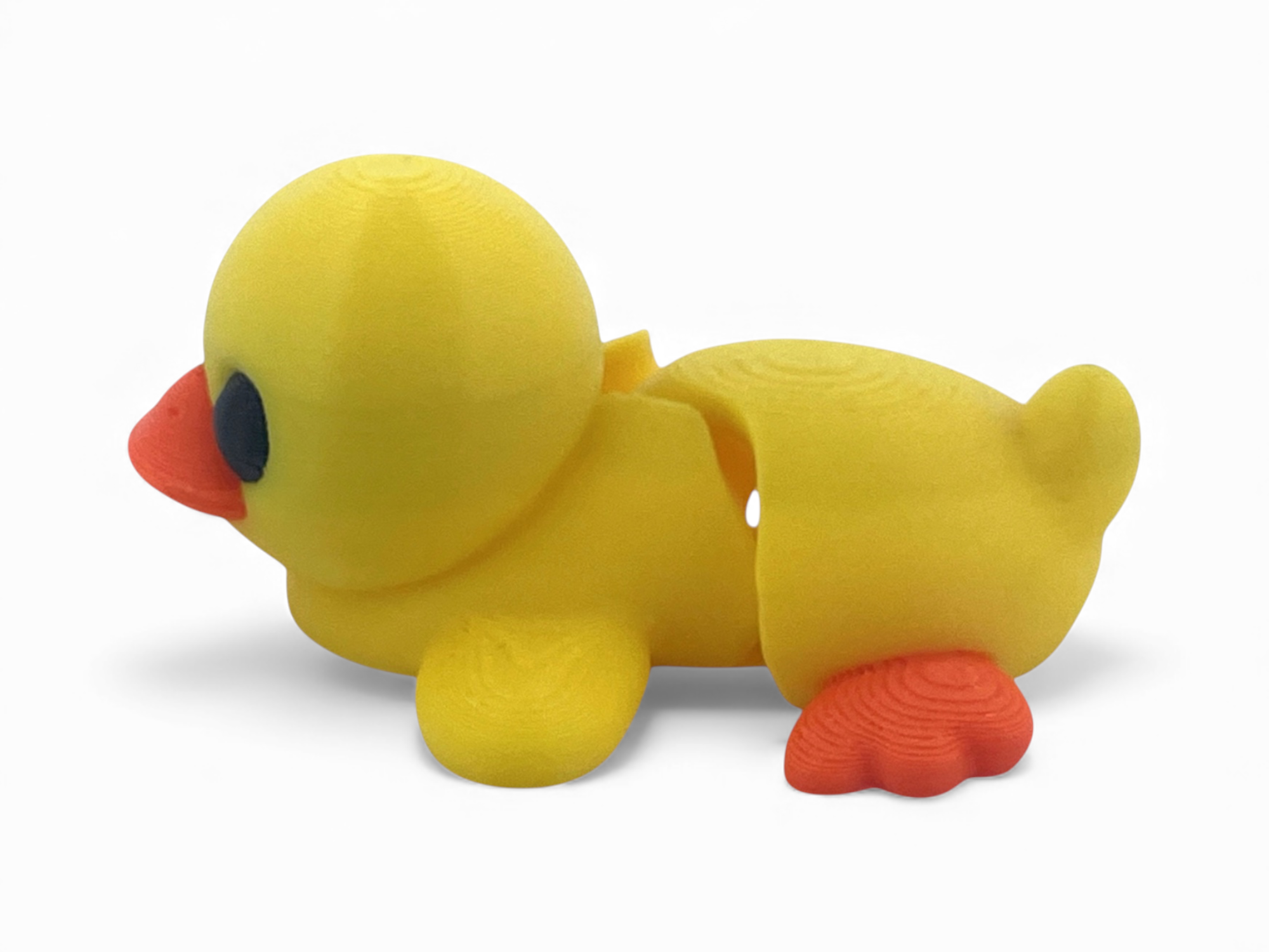 Articulated Duck